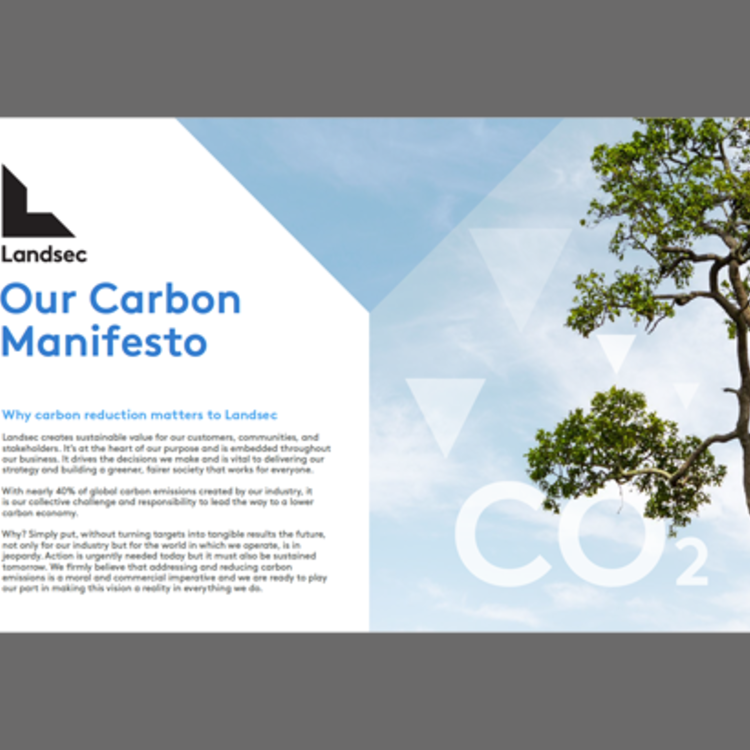 Carbon manifesto web
