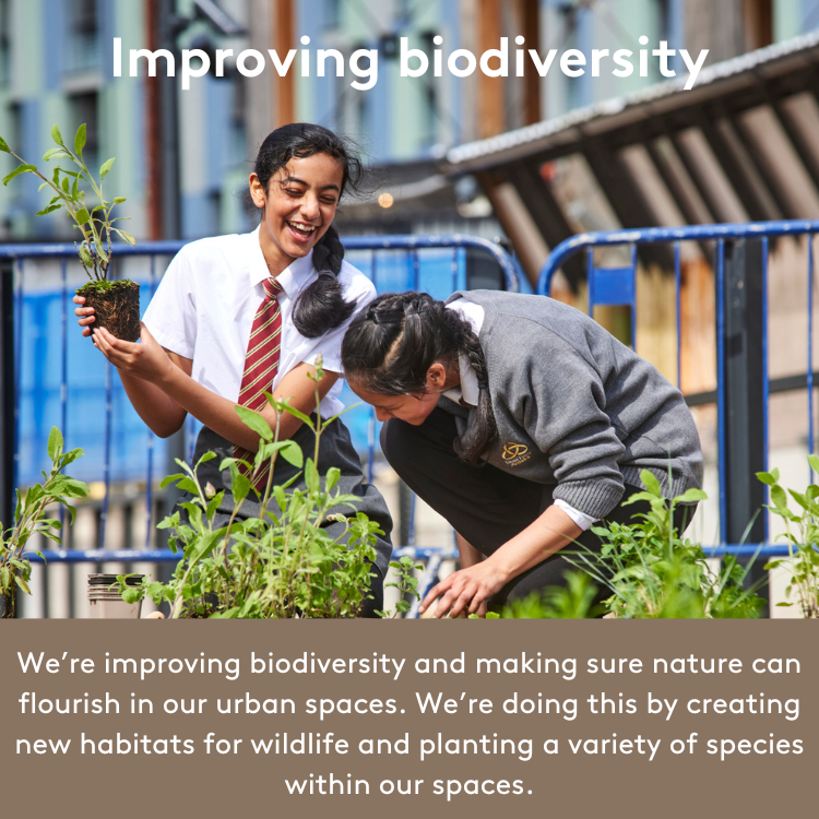 Improving biodiversity