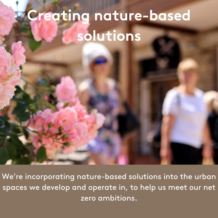 Creating nature-based solutions